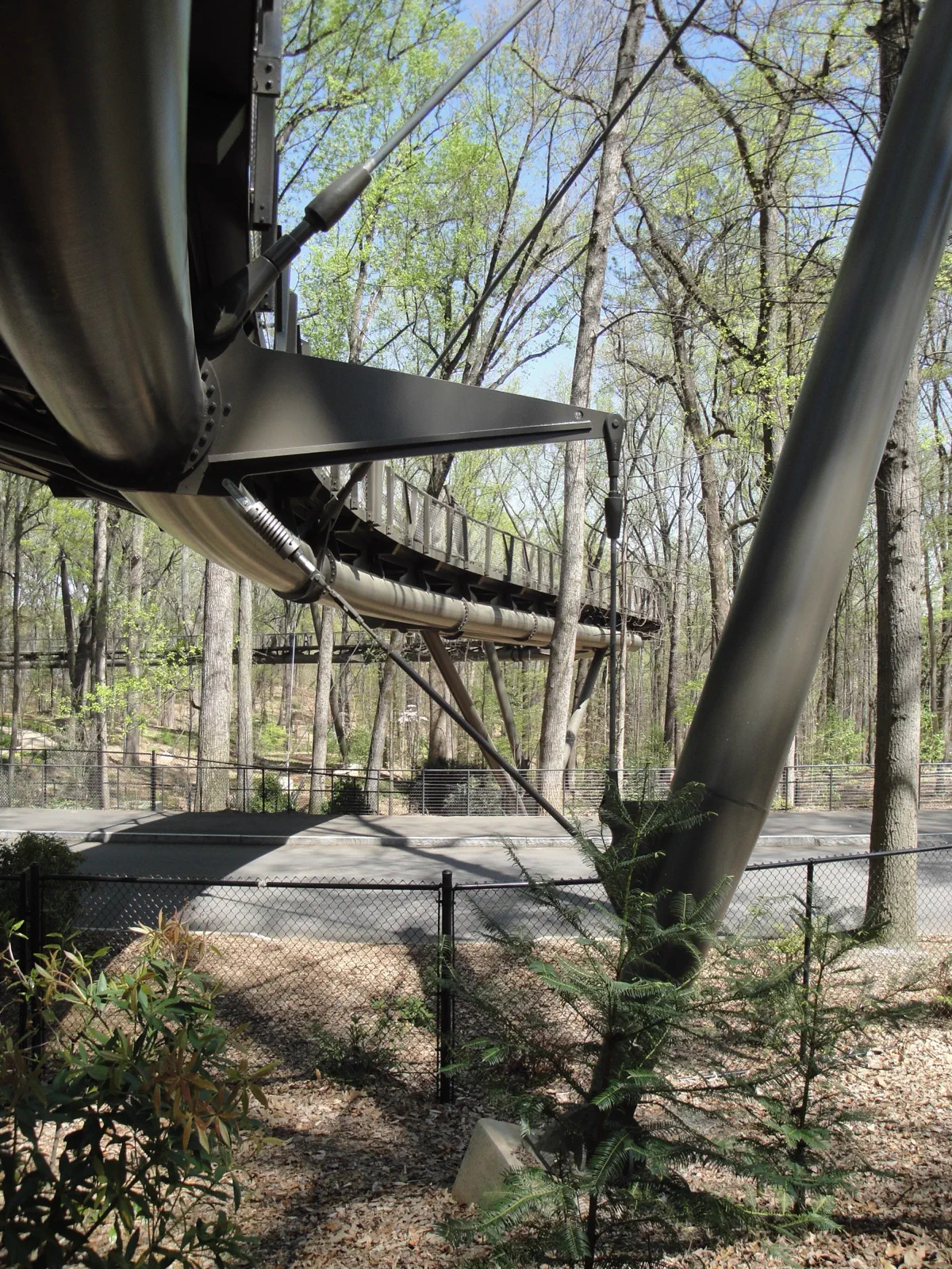 Atlanta Botanical Garden의 Canopy Walk