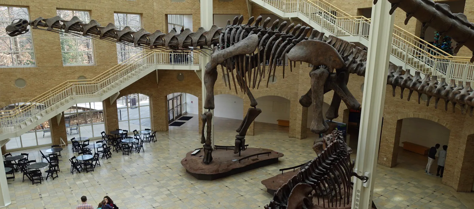 Fernbank Museum 자연사 전시